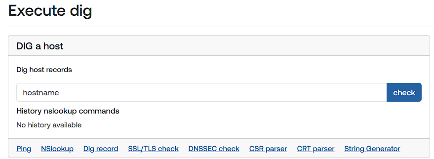 screenshot dig command